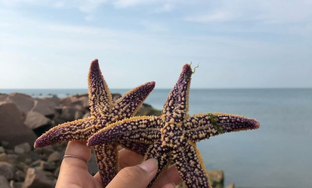 威海巴厘林海度假村